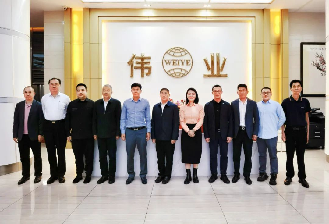 中国有色金属加工工业协会辅导一行光临南宫NG28集团调研领导