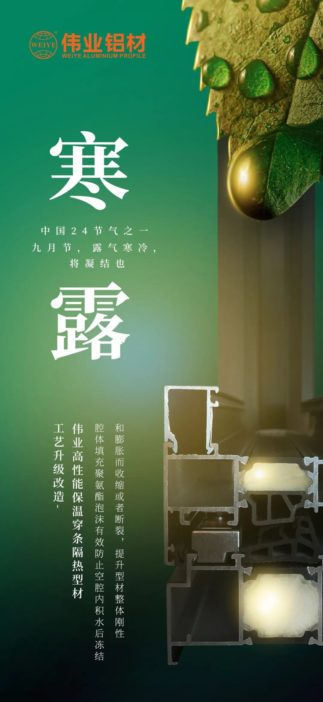 #寒露 九月节，露气寒冷，将凝固也 时光入深秋，岁月便深情